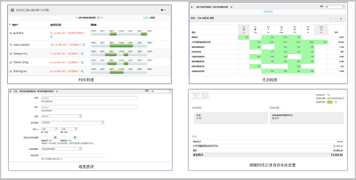More tools are available for showing your project details.